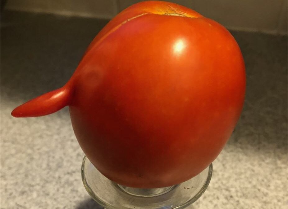 Gru the Tomato?