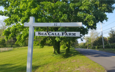 Third Bin Added at Sea Call Farm
